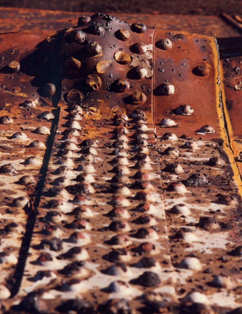 Skin I_1995