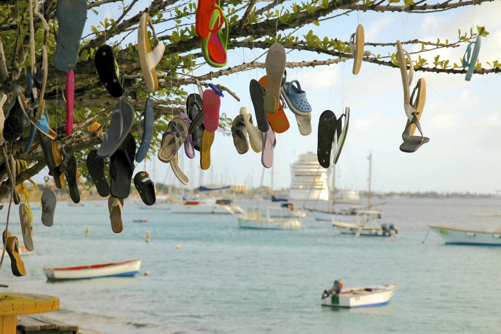 Caribbean Harbor Tour 7, 2014