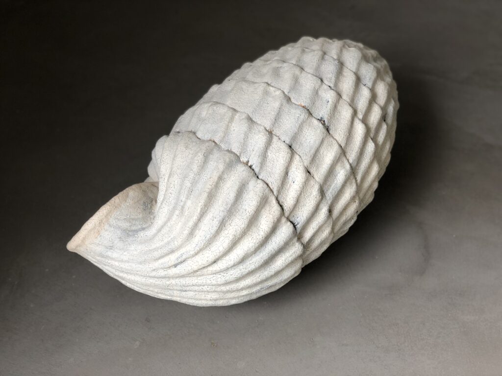 Cerion Uva, 2020, stoneware, 57 x 28 x 29 cm