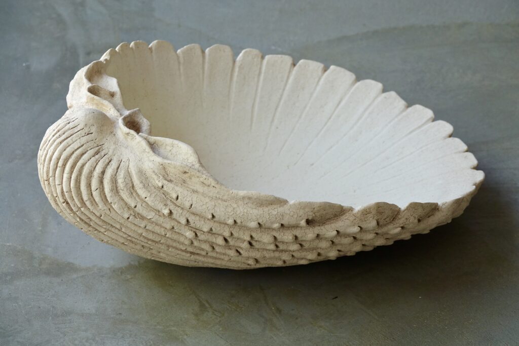 Fimbria fimbriata, 2021, stoneware, slib and oxides, 41 x 50 x 20 cm
